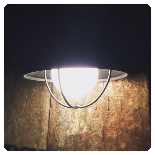 本年もありがとうございました。