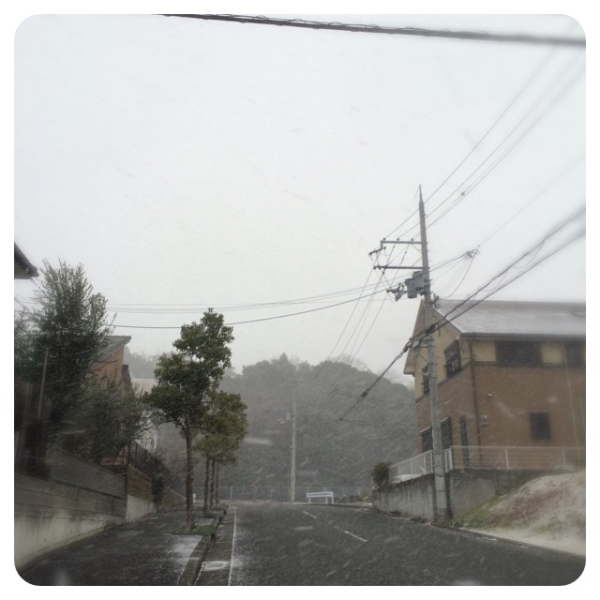 雪が降りました。