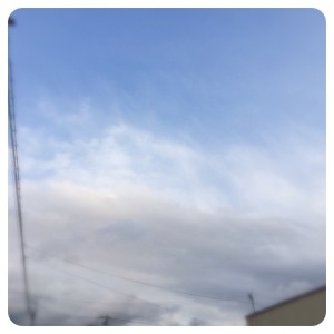 インフルエンザ